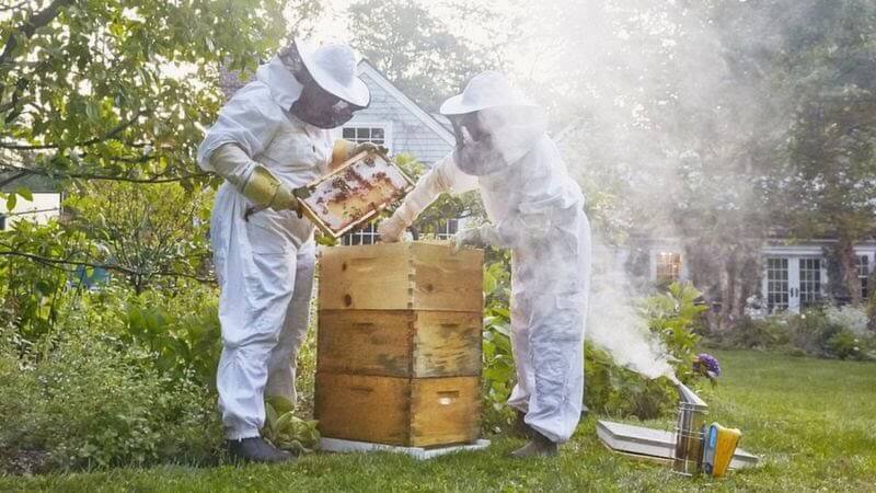 beekeepers