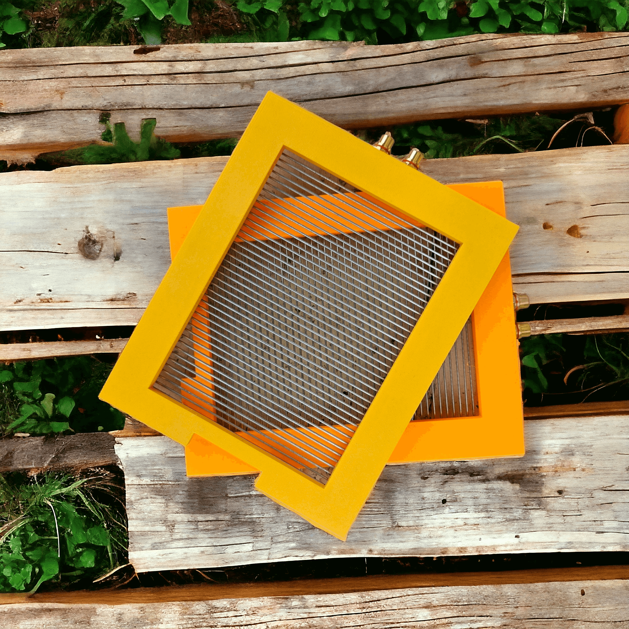SMART-BEE bee venom collection system